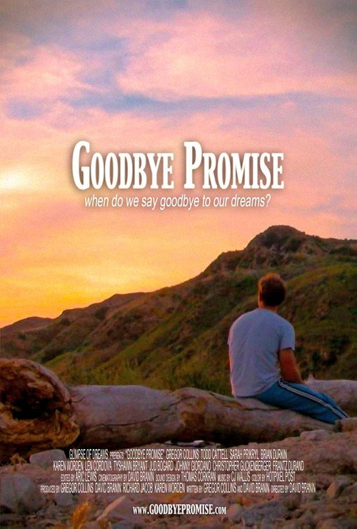 Movie poster for Goodbye Promise (2012)