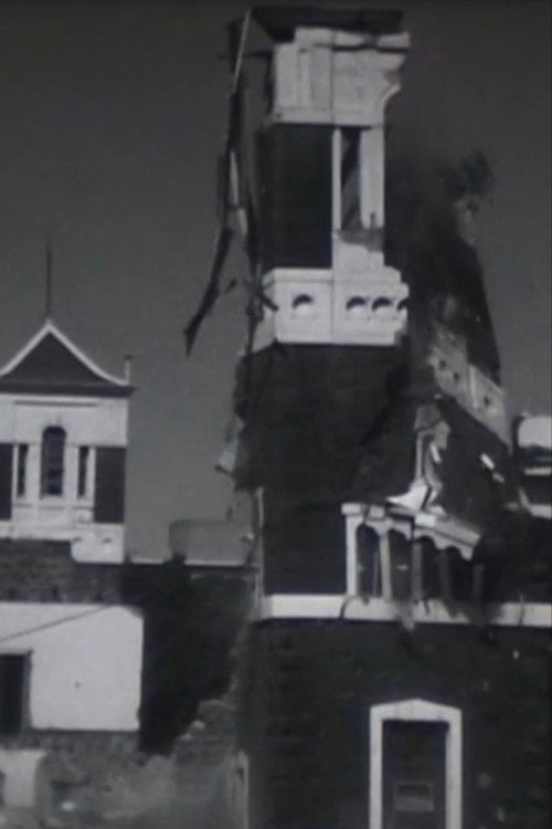Movie poster for The Destruction of St. Patrick's College 1971 (1971)