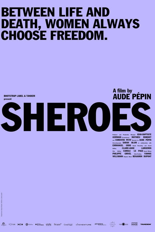 Movie poster for Sheroes (2021)