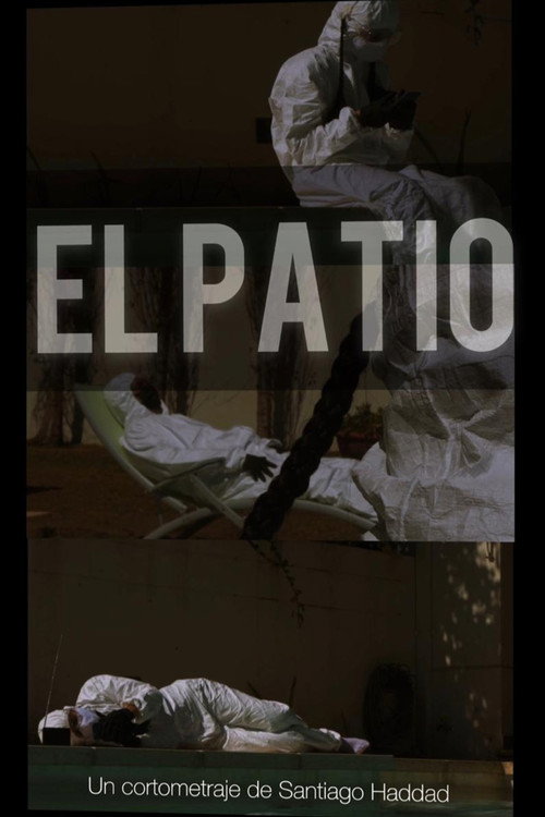 Movie poster for The Backyard (2020)