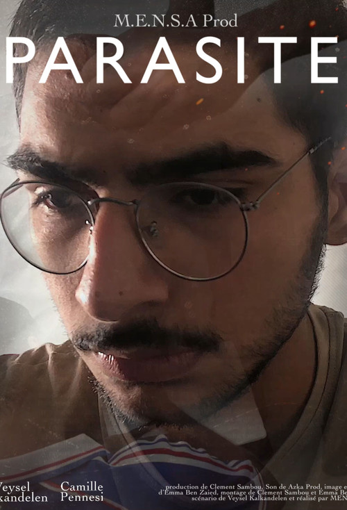 Movie poster for Parasite (2024)