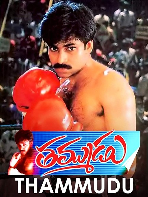 Movie poster for Thammudu (1999)