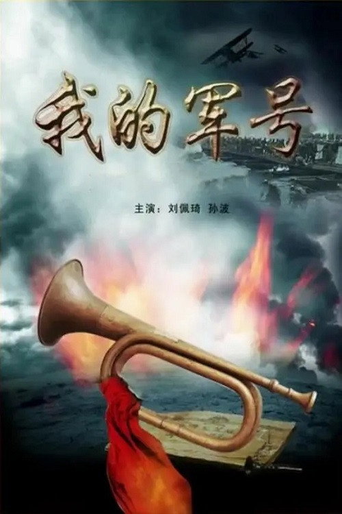 Movie poster for 我的军号 (2011)