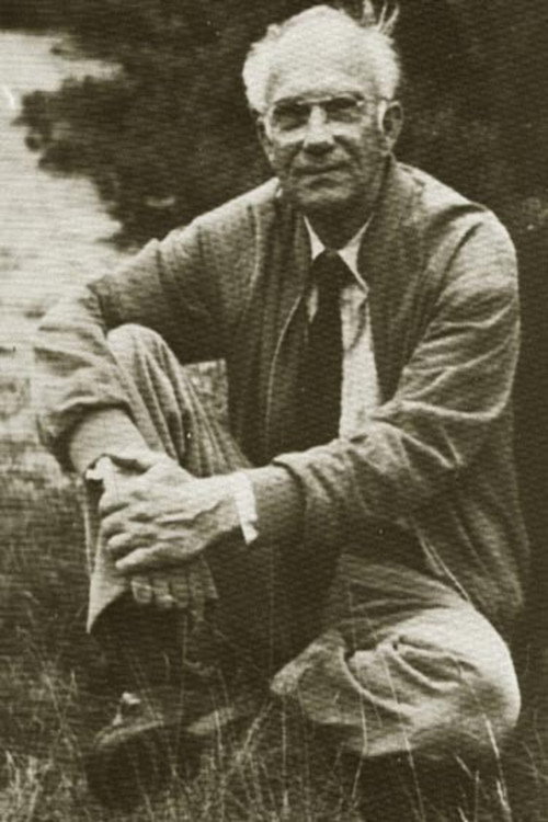 Photo of Jan Willem van den Berg, Acting