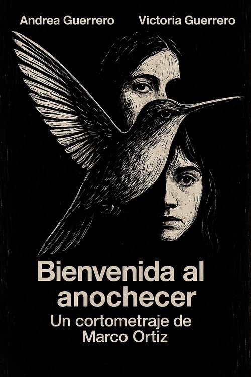 Movie poster for Bienvenida al Anochecer (2018)