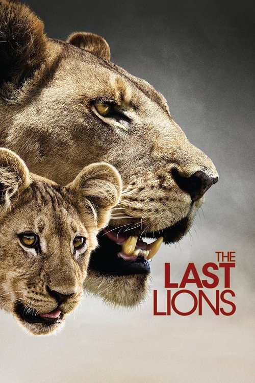 Movie poster for The Last Lions (2011)