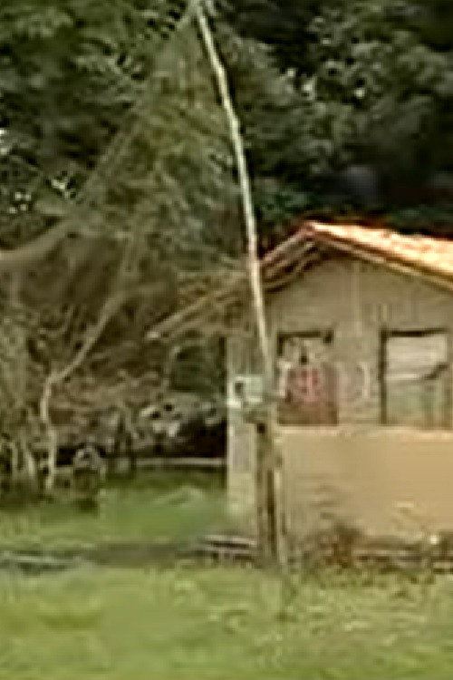 Movie poster for Cidades Amazônicas (2006)