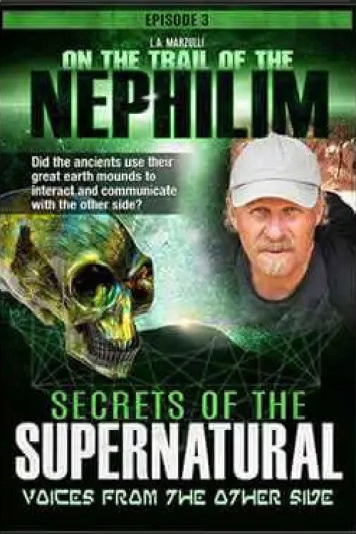 Movie poster for On the Trail of the Nephilim: Episode 3 - Secrets of the Supernatural (2019)