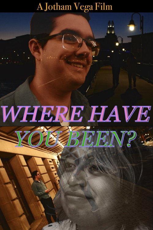 Movie poster for Where Have You Been? (2024)