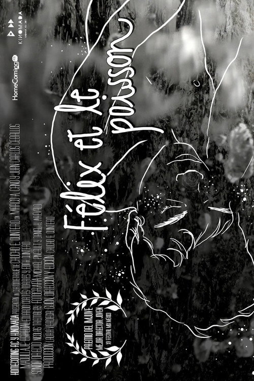 Movie poster for Félix and the Fish (2011)