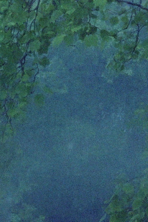 Movie poster for The Names of Things (2021)