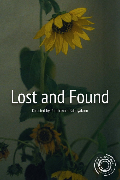 Movie poster for Lost and Found (2025)