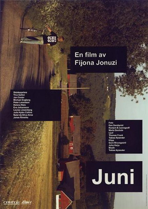 Movie poster for June (2007)