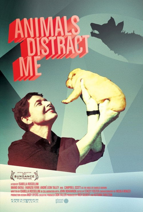 Movie poster for Animals Distract Me (2011)