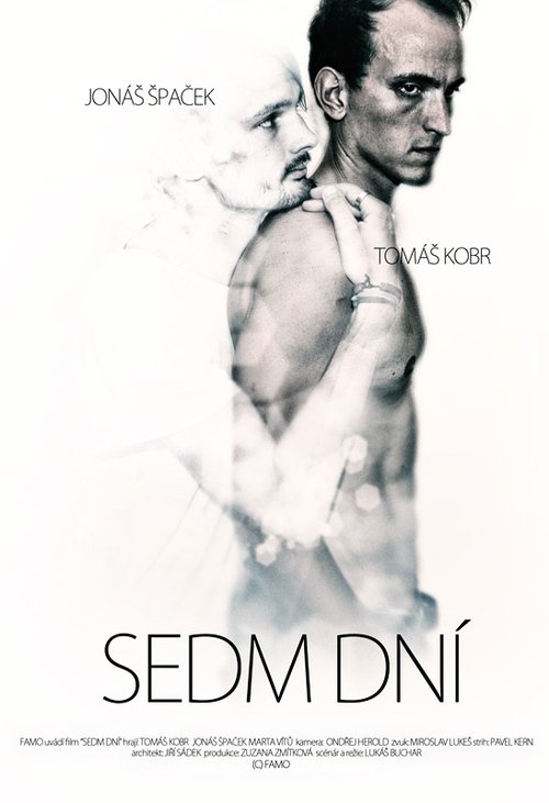 Movie poster for Seven Days (2012)