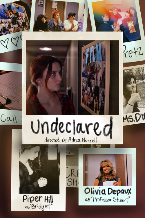 Movie poster for Undeclared (2023)