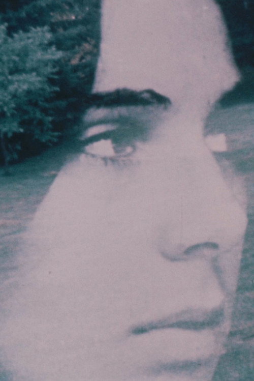 Movie poster for Andrea 1973 (1973)
