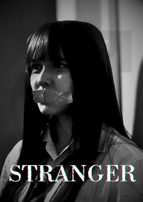 Movie poster for Stranger (2024)