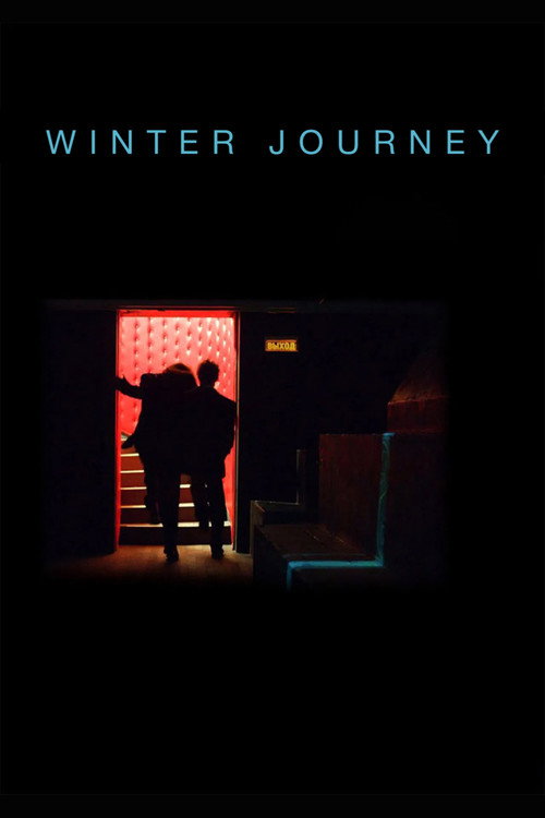 Movie poster for Winter Journey (2012)