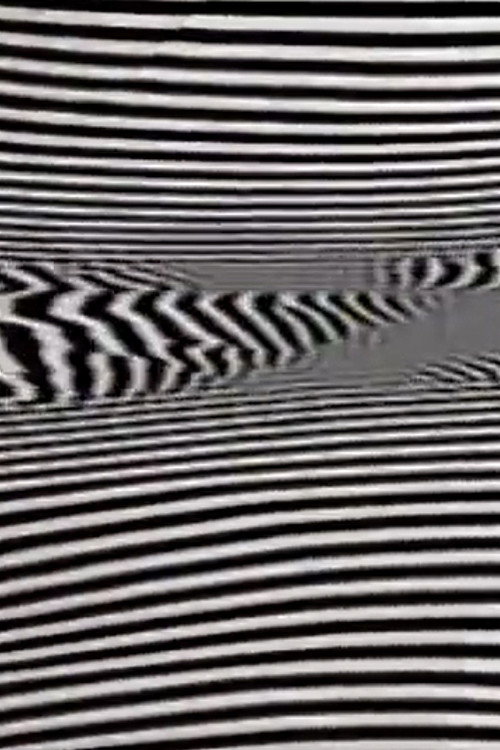 Movie poster for Black/White/Text (1980)