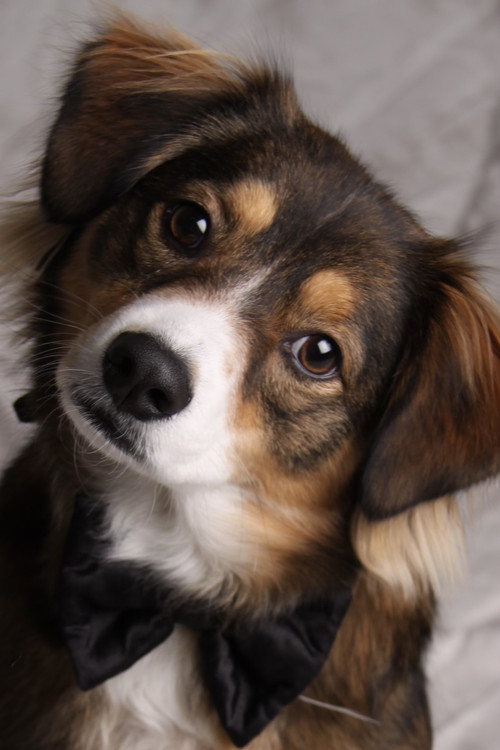 Photo of Lucky Hannah, Acting