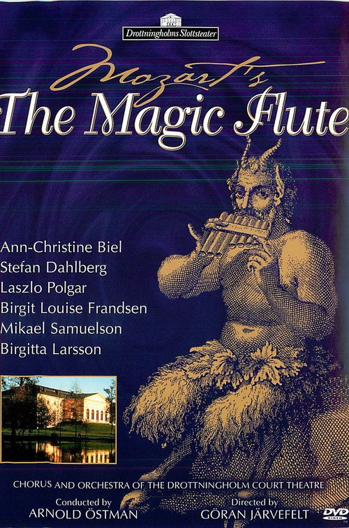 Movie poster for Mozart: The Magic Flute (1989)