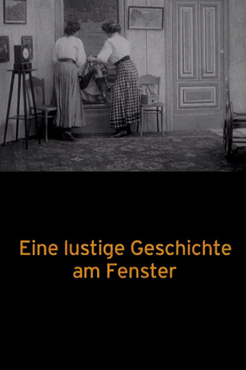 Movie poster for A Funny Story at the Window (1908)