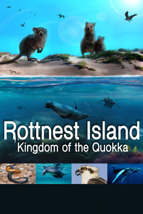 Rottnest Island: Kingdom Of The Quokka poster