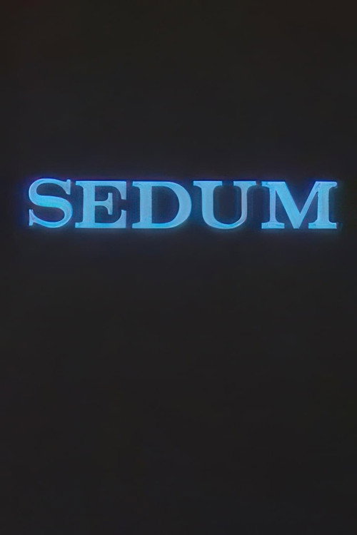 Movie poster for The Seven (1989)