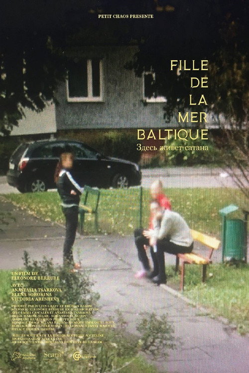 Movie poster for Daughter Of The Baltic Sea (2021)