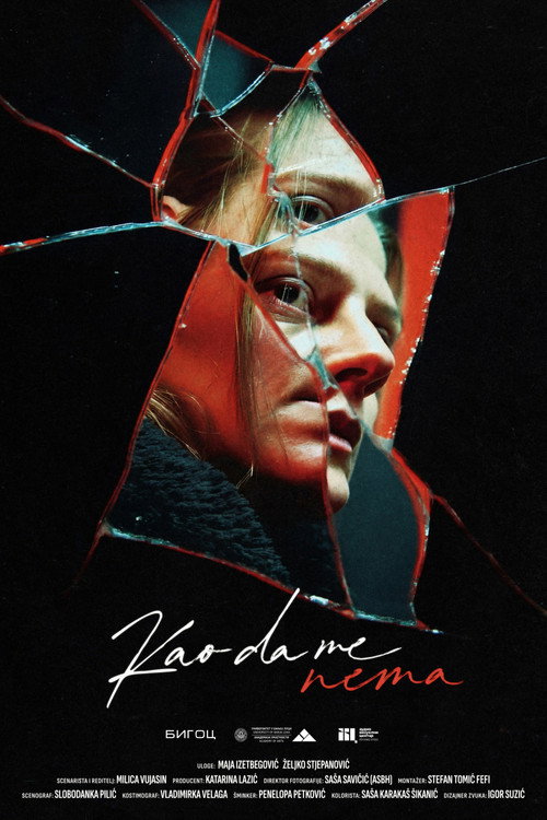 Movie poster for As If I'm Not There
