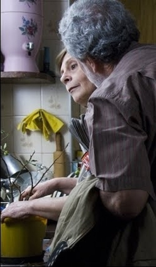 Movie poster for Rosa e Benjamin (2009)