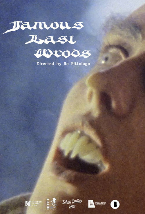 Movie poster for Famous Last Words (2020)
