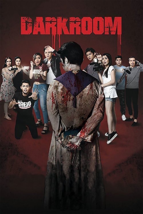 Movie poster for Darkroom (2017)