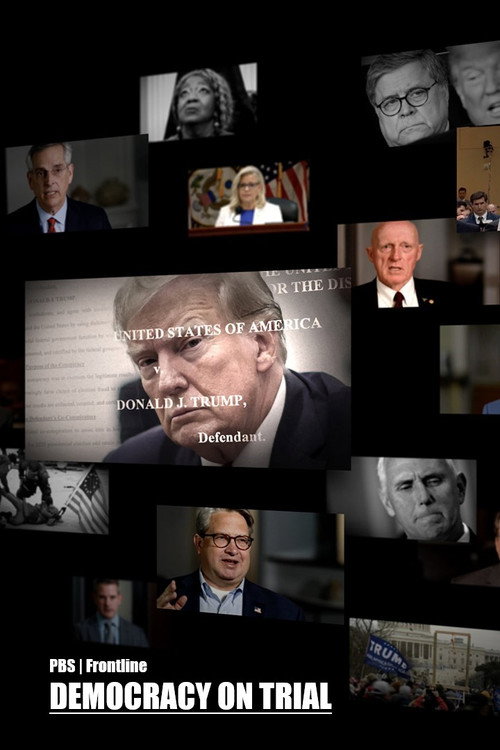 Movie poster for Democracy on Trial (2024)