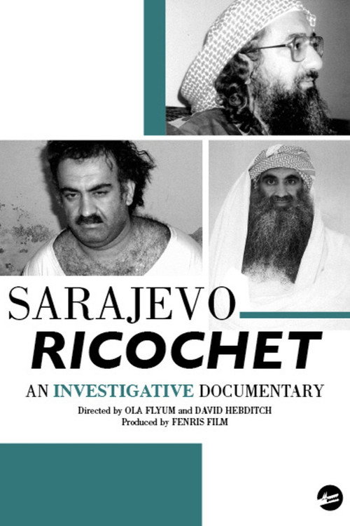 Movie poster for Sarajevo Ricochet Part 1: The US Green Light (2011)