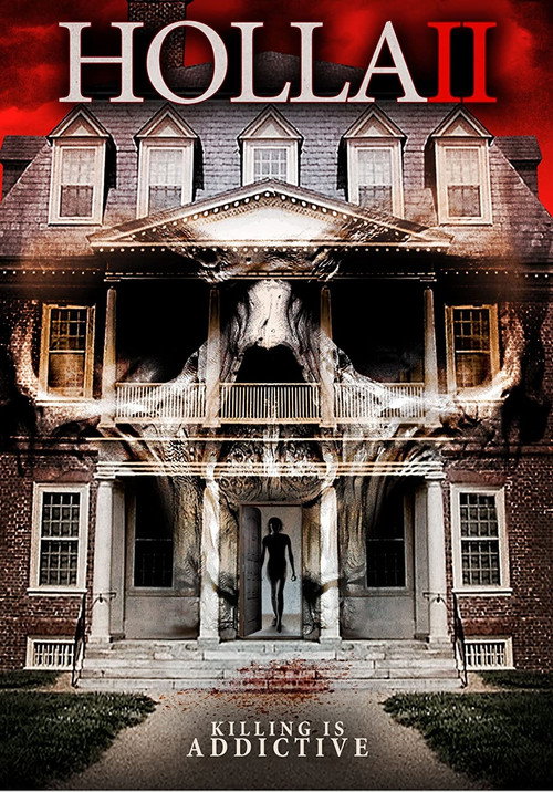 Movie poster for Holla 2 (2013)