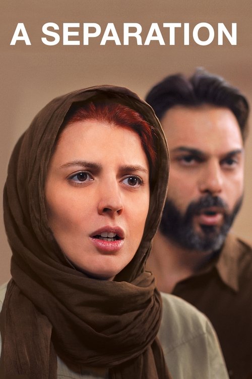 Movie poster for A Separation (2011)