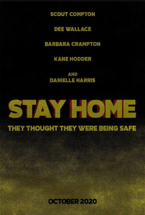 Movie poster for Stay Home (2020)