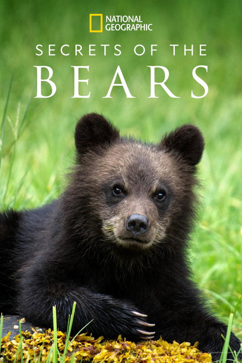Series poster for Secrets of the Bears