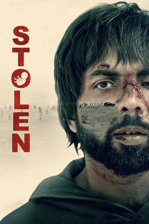 Movie poster for Stolen (2023)