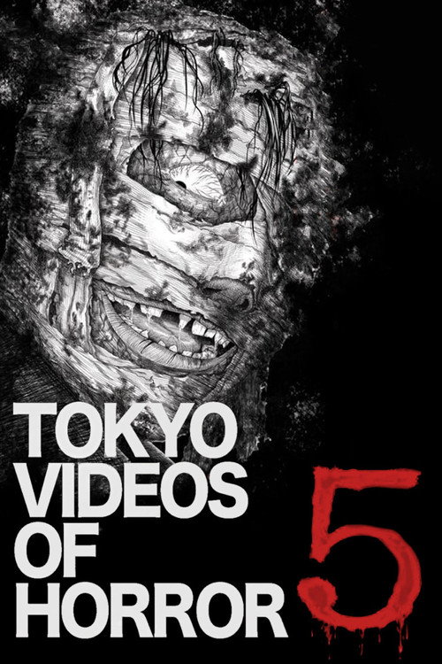 Movie poster for Tokyo Videos of Horror 5 (2013)