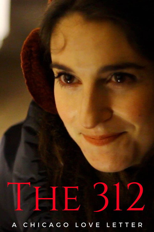 Movie poster for The 312 (2017)
