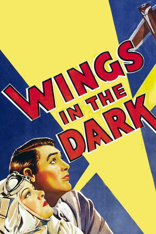 Movie poster for Wings in the Dark (1935)