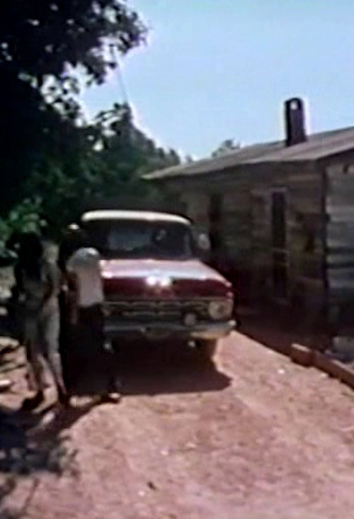 Movie poster for The Burks of Georgia (1976)