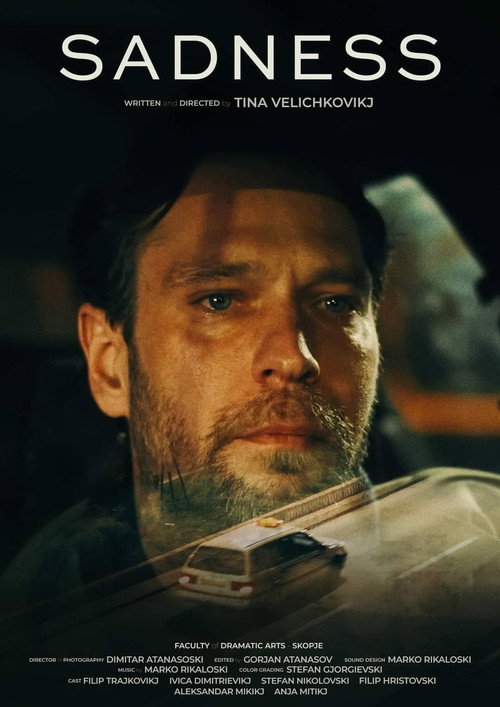 Movie poster for Sadness (2023)