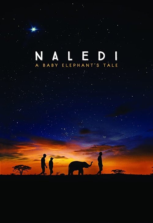 Movie poster for Naledi: A Baby Elephant's Tale (2016)