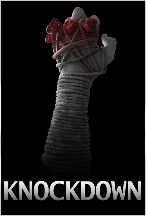 Movie poster for Knockdown (2024)