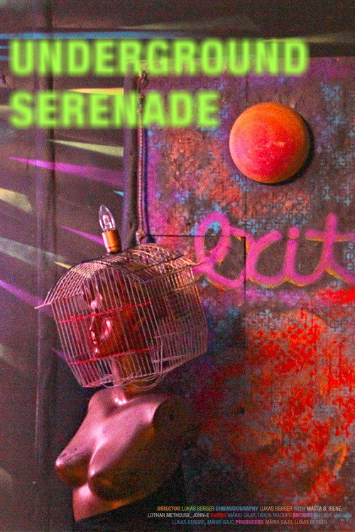 Movie poster for Underground Serenade
