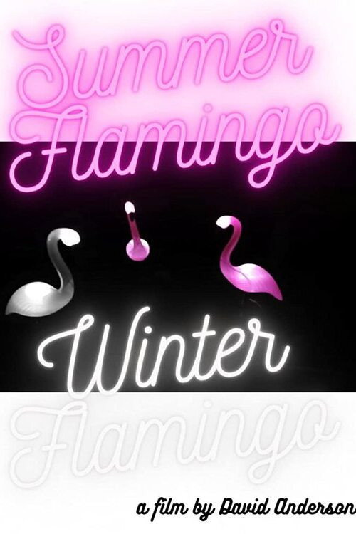 Movie poster for Summer Flamingo Winter Flamingo (2022)